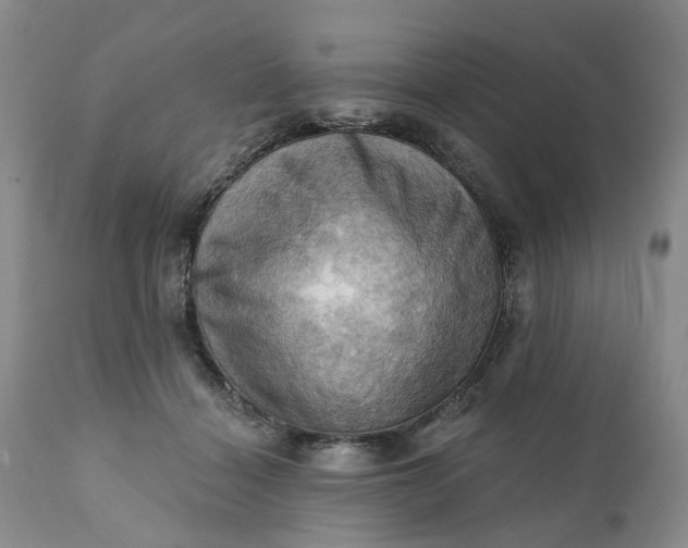 X0000111360460200907241226