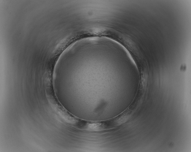 X0000111360461200907241226