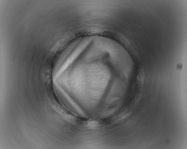 X0000111360462200907241226