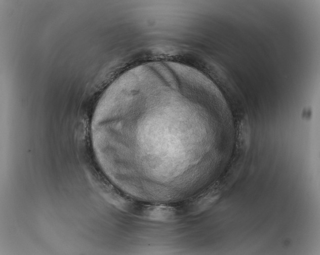 X0000111360463200907241226