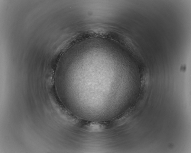 X0000111360464200907241226