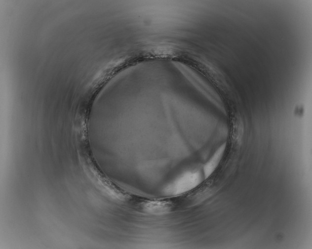 X0000111360465200907241226