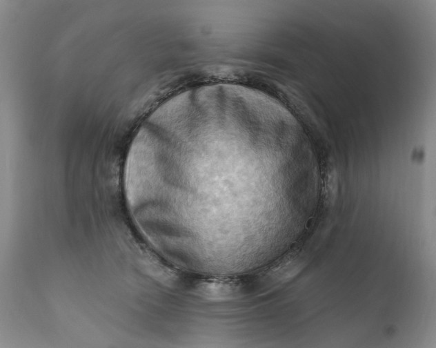 X0000111360466200907241226