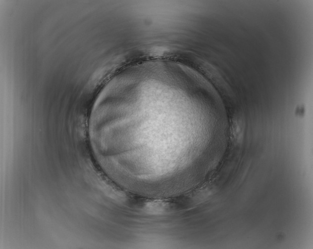 X0000111360470200907241226