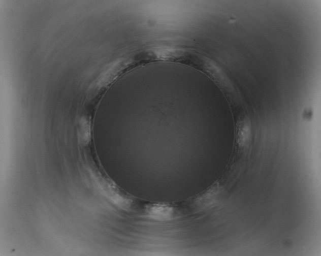 X0000111360471200907241226