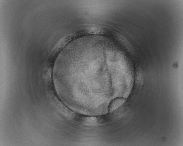 X0000111360473200907241226