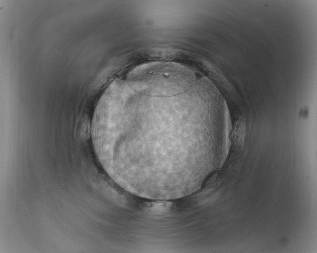 X0000111360474200907241226
