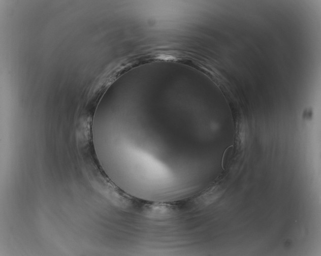 X0000111360475200907241226