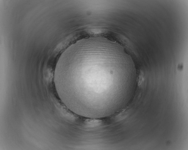 X0000111360476200907241226