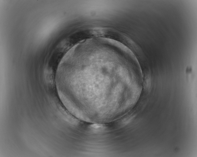 X0000111360477200907241226