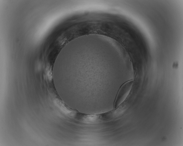 X0000111360479200907241226