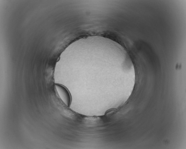 X0000111360480200907241226