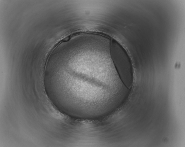 X0000111360481200907241225