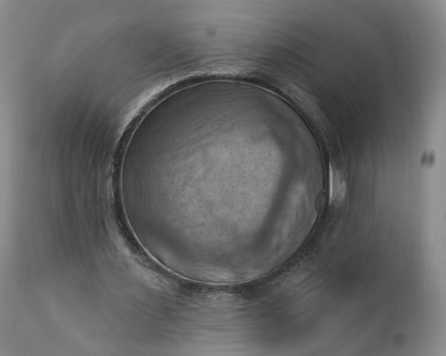 X0000111360483200907241225