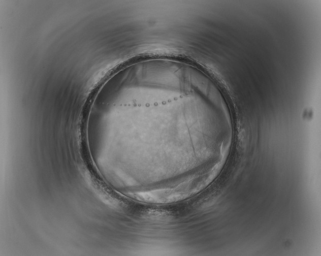 X0000111360487200907241225