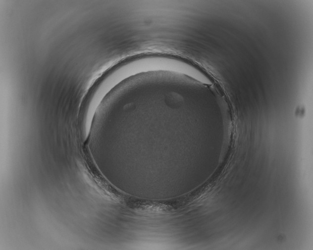 X0000111360488200907241225