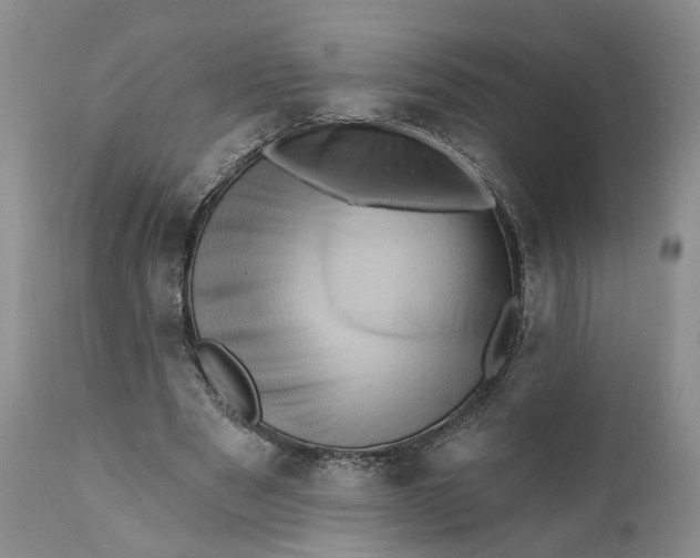 X0000111360489200907241225