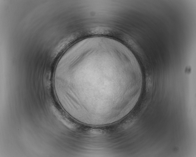 X0000111360490200907241225