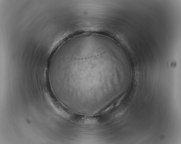 X0000111360491200907241225