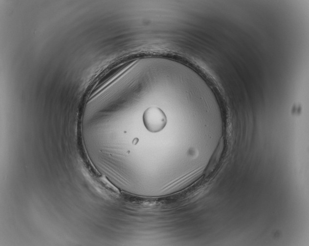 X0000111360493200907241225