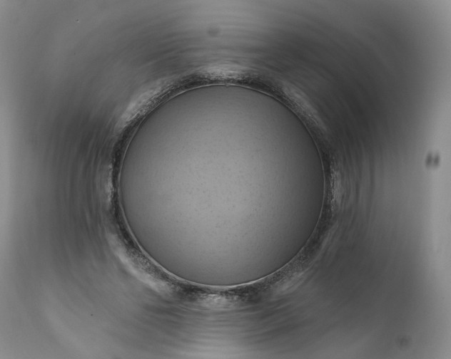 X0000111360494200907241225