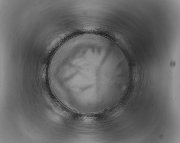 X0000111360495200907241225