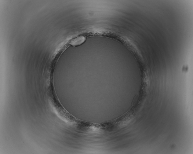 X0000111360496200907241225