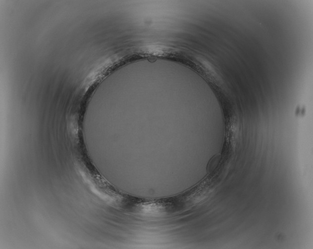X0000111360500200907241225