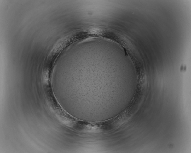 X0000111360502200907241225