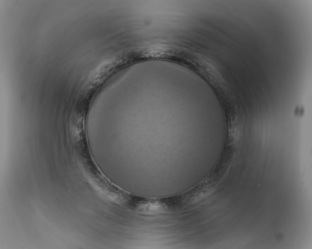 X0000111360503200907241225