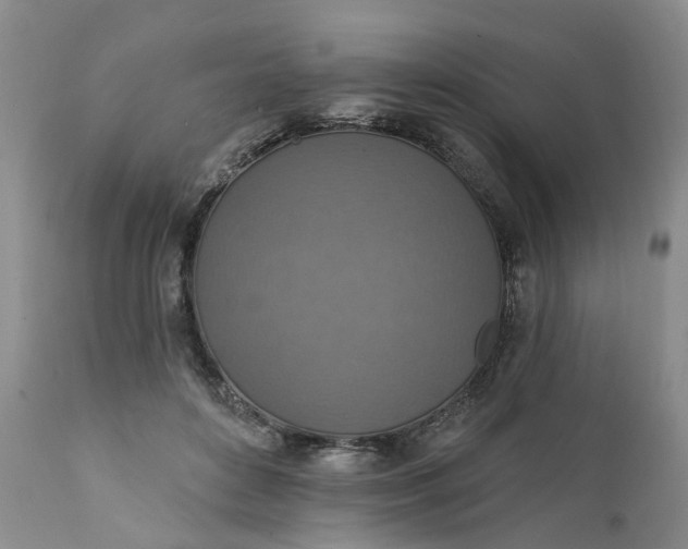 X0000111360504200907241225