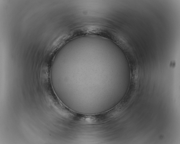 X0000111360506200907241225