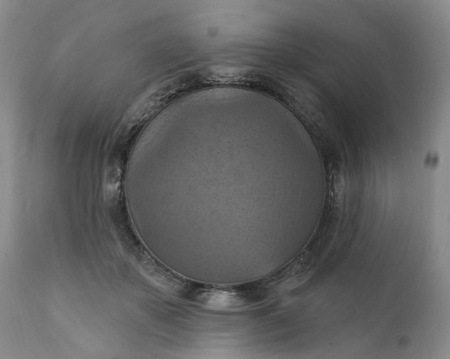 X0000111360507200907241225