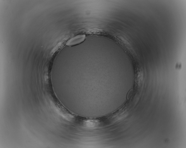 X0000111360508200907241225