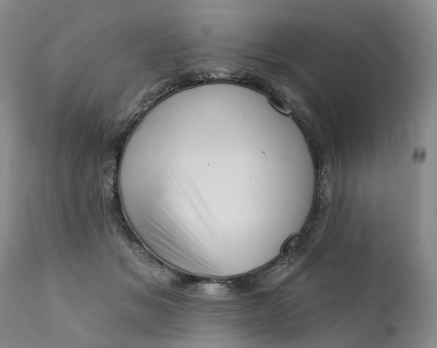 X0000111360509200907241225