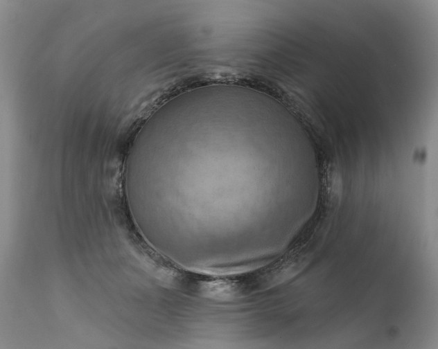 X0000111360511200907241225