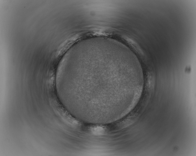 X0000111360513200907241225