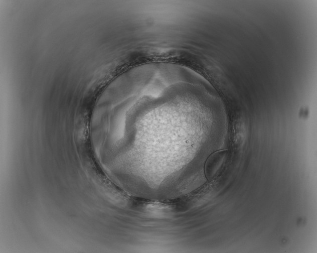 X0000111360515200907241225