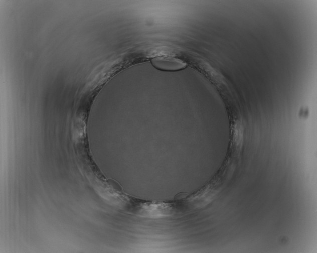 X0000111360517200907241225
