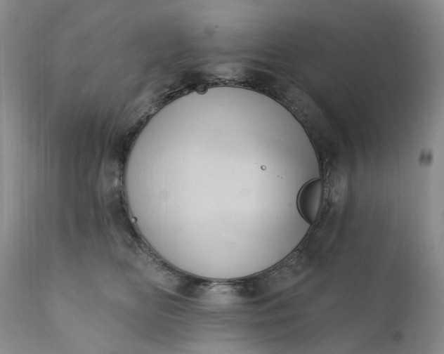 X0000111360518200907241225