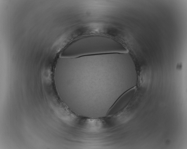 X0000111360520200907241225