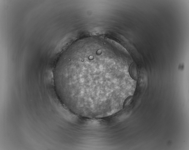 X0000111360523200907241225