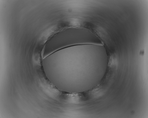 X0000111360524200907241225