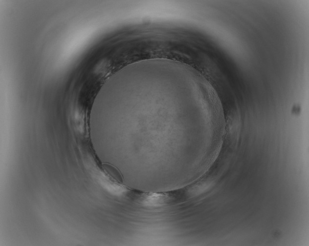 X0000111360527200907241225