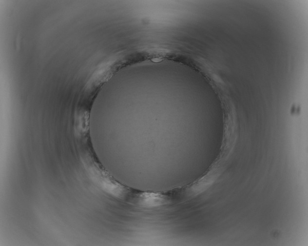X0000111360528200907241225