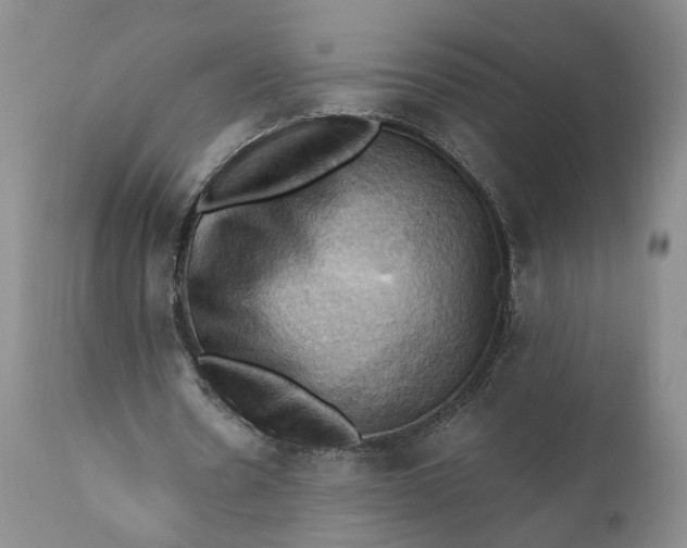 X0000111360530200907241224
