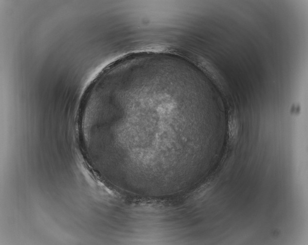 X0000111360532200907241224