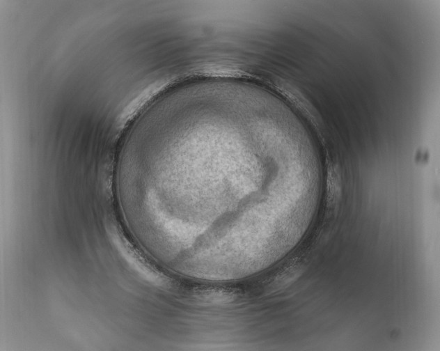 X0000111360533200907241224