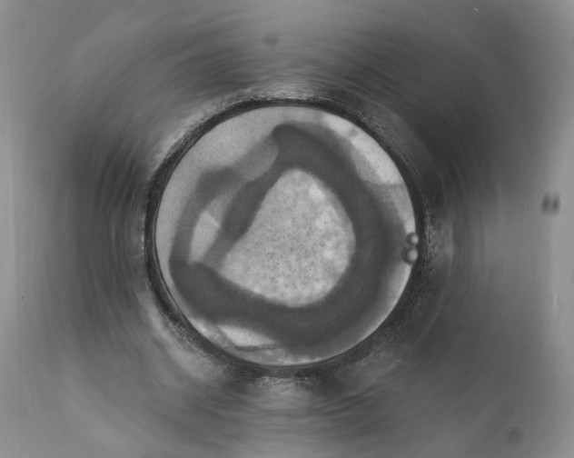 X0000111360534200907241224