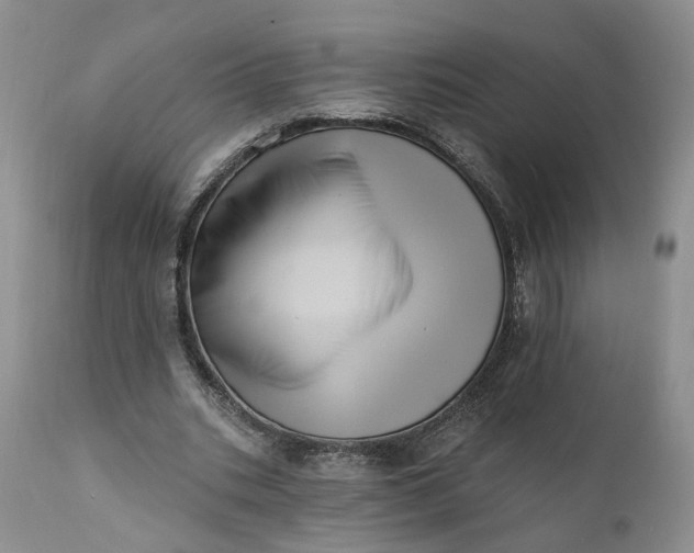 X0000111360535200907241224